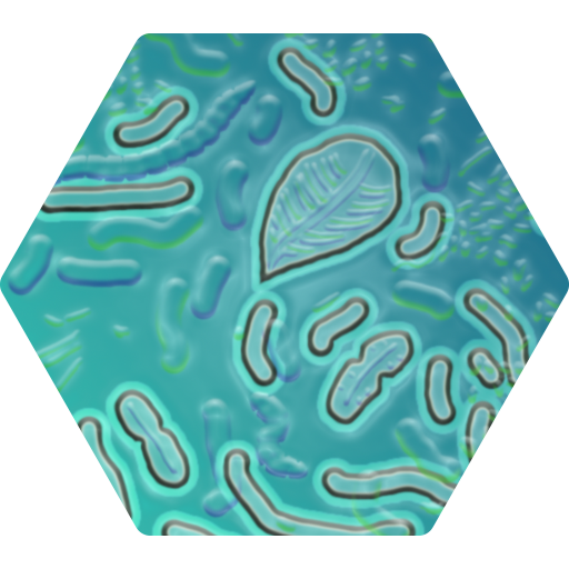 candida albicans multiplication bactéries